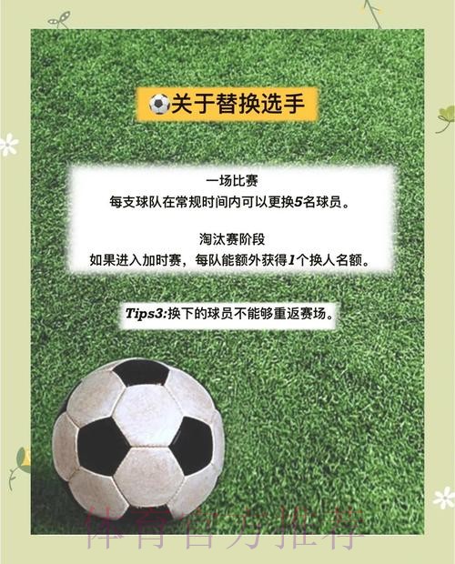 全面解析世界杯体育平台选择技巧